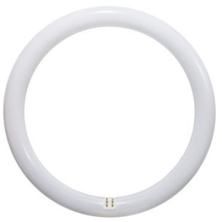 Lampada Circolina LED 14W ( ex. 22W ) 1400Lm 4000°K con magneti Ø21cm Disponibile da Maggio 2026