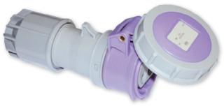 Presa volante  CEE 2P 24V IP67