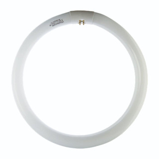 Tubo Fluorescente Circolare 32W T9 G10q 4000K Bianco Naturale Ø305mm sostituisce BTLLR322T